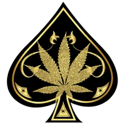 Official Ace Ultra Premium
